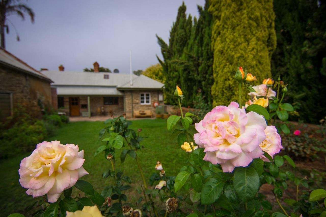 Grand Cru Estate Homestead Springton Exteriér fotografie